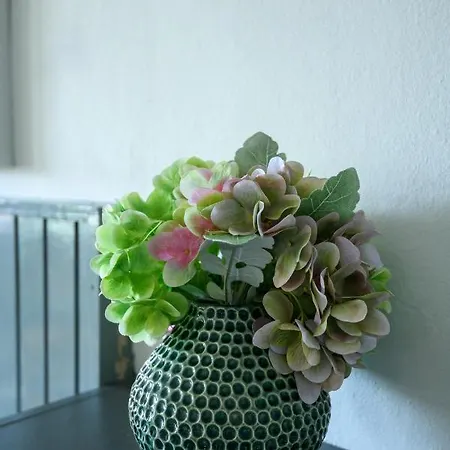 Rosehip Lägenhet Dubrovnik