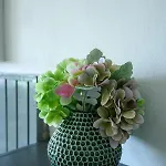Rosehip Apartman Dubrovnik